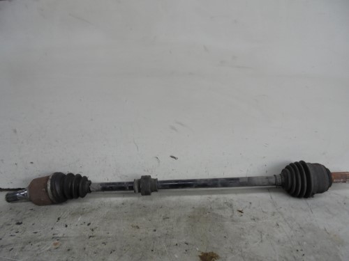 Semialbero ant. compl.  dx. 