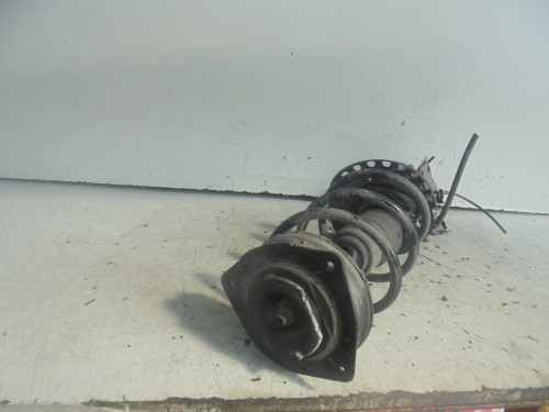 Ammortizzatore ant. sx.