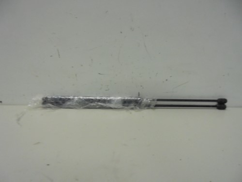 Asta ammortizzante portello post.  sx.