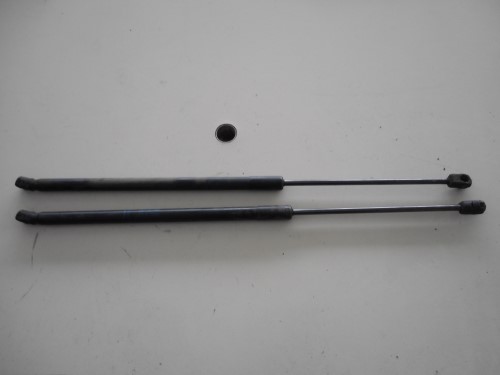 Asta ammortizzante portello post.  sx.