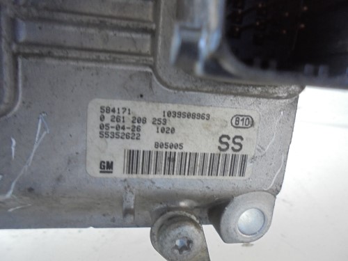 Centralina iniezione 