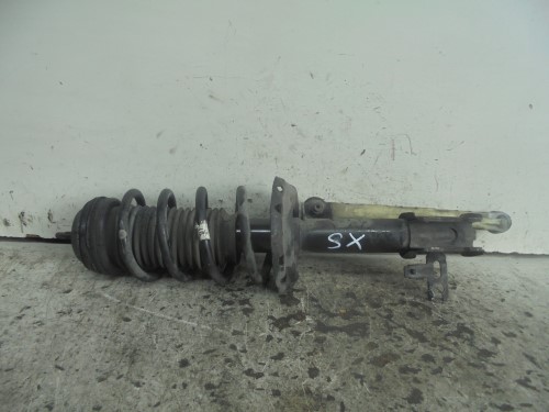 Ammortizzatore ant. sx.