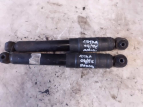 Ammortizzatore post. sx.