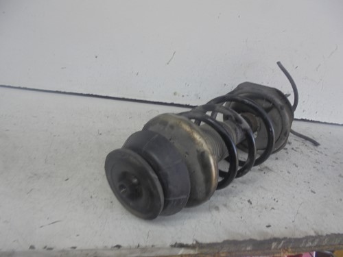 Ammortizzatore ant. dx. 