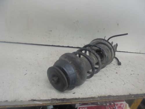 Ammortizzatore ant. sx.