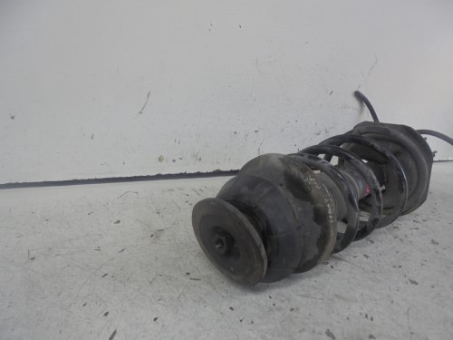 Ammortizzatore ant. sx.