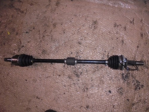 Semialbero ant. compl.  dx. 