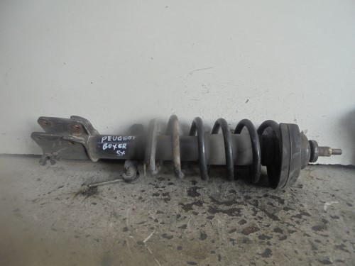 Ammortizzatore ant. sx.