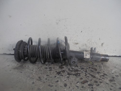 Ammortizzatore ant. sx.