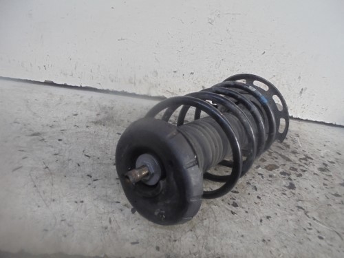 Ammortizzatore ant. sx.