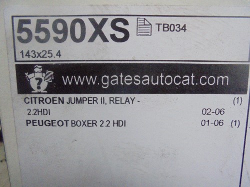 Cinghia distribuzione controalbero 