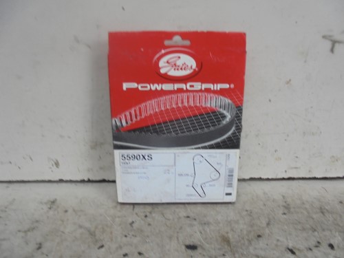 Cinghia distribuzione controalbero 