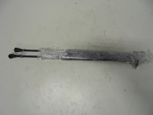 Asta ammortizzante portello post. sx.