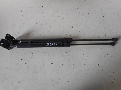 Asta ammortizzante portello post.  sx.