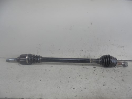 Semialbero ant. compl.  dx. 