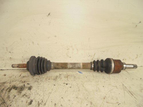 Semialbero ant. compl. sx. Semialbero ant. compl. sx.