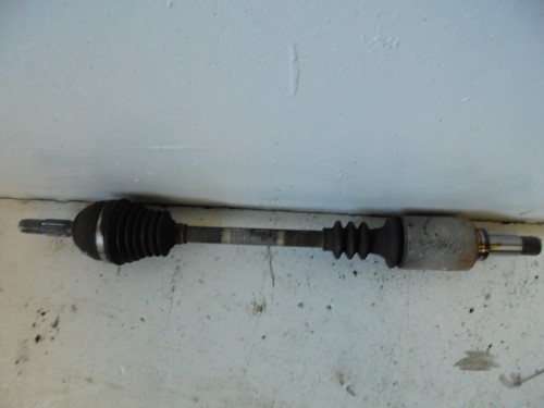 Semialbero ant. compl. sx. Semialbero ant. compl. sx.