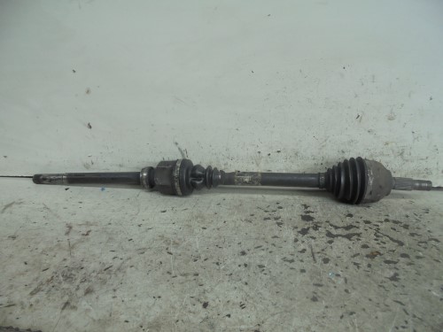 Semialbero ant. compl.  dx. 