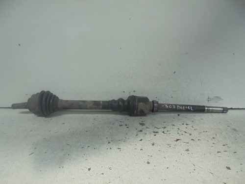 Semialbero ant. compl.  dx. 