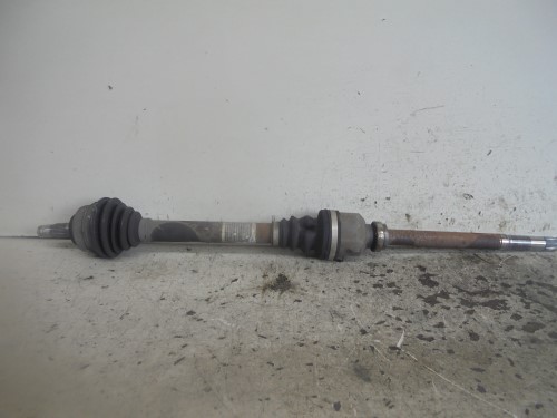 Semialbero ant. compl.  dx. 