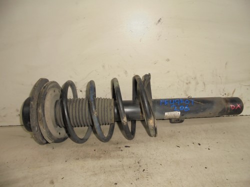 Ammortizzatore ant. dx. 