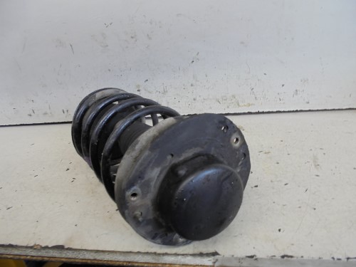 Ammortizzatore ant. sx.