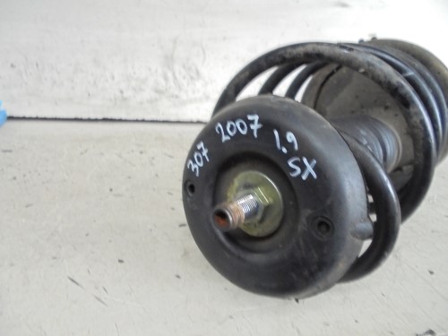 Ammortizzatore ant. sx.