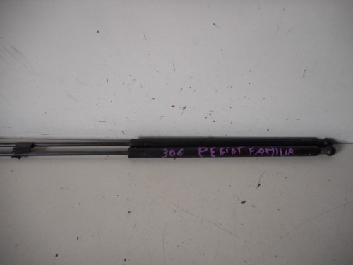 Asta ammortizzante portello post. sx.