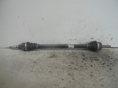 Semialbero ant. compl.  dx. 