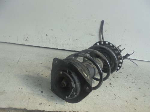 Ammortizzatore ant. sx.