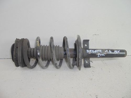 Ammortizzatore ant. sx.