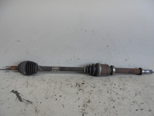 Semialbero ant. compl.  dx. 