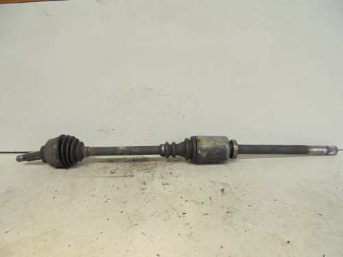 Semialbero ant. compl. dx. Semialbero ant. compl. dx.