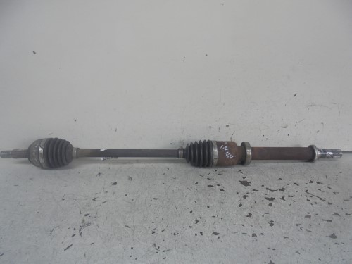 Semialbero ant. compl. dx. Semialbero ant. compl. dx.