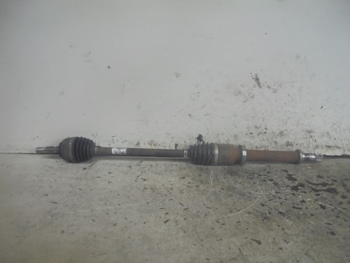 Semialbero ant. compl. dx. Semialbero ant. compl. dx.