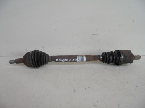 Semialbero ant. compl. sx. Semialbero ant. compl. sx.