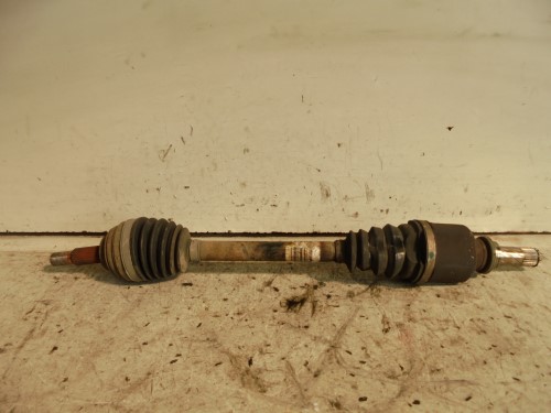 Semialbero ant. compl. sx. Semialbero ant. compl. sx.