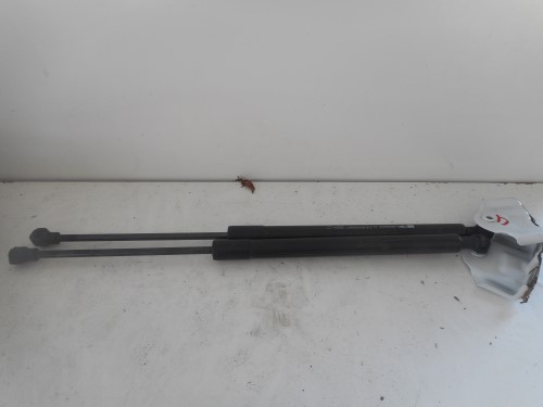 Asta ammortizzante portello post. sx.