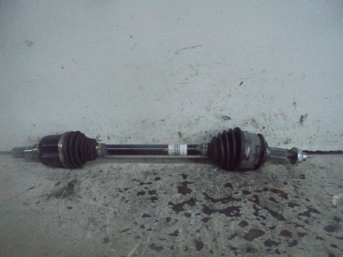 Semialbero ant. compl. sx. Semialbero ant. compl. sx.