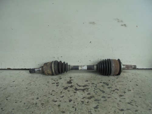 Semialbero ant. compl. sx. Semialbero ant. compl. sx.