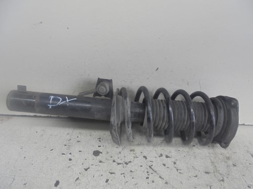 Ammortizzatore ant.  sx.