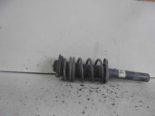 Ammortizzatore ant. sx.