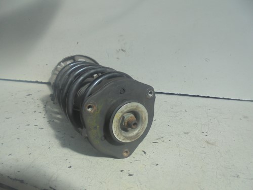 Ammortizzatore ant. sx.