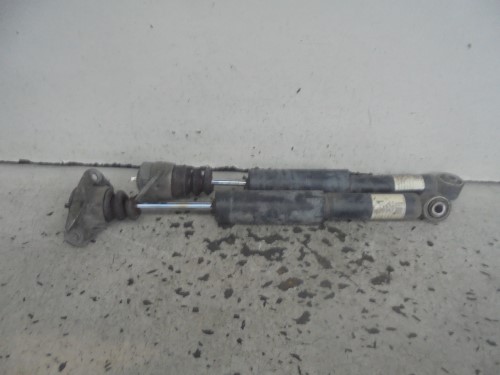 Ammortizzatore post. sx.