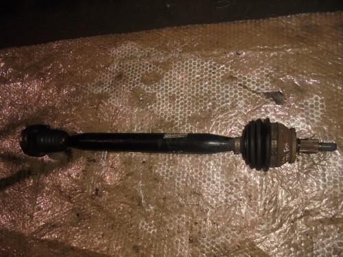 Semialbero ant. compl. dx. Semialbero ant. compl. dx.