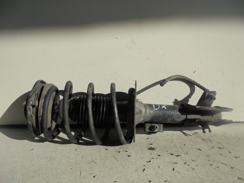 Ammortizzatore ant. dx. 