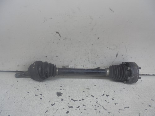 Semialbero ant. compl. sx. Semialbero ant. compl. sx.