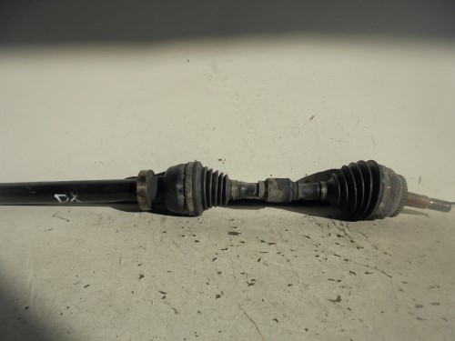 Semialbero ant. compl.  dx. 