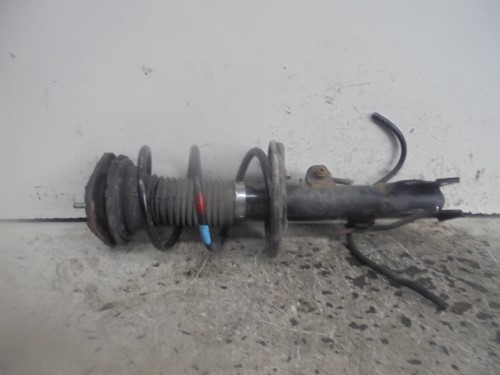 Ammortizzatore ant. sx.