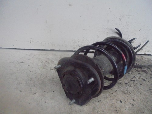 Ammortizzatore ant. sx.